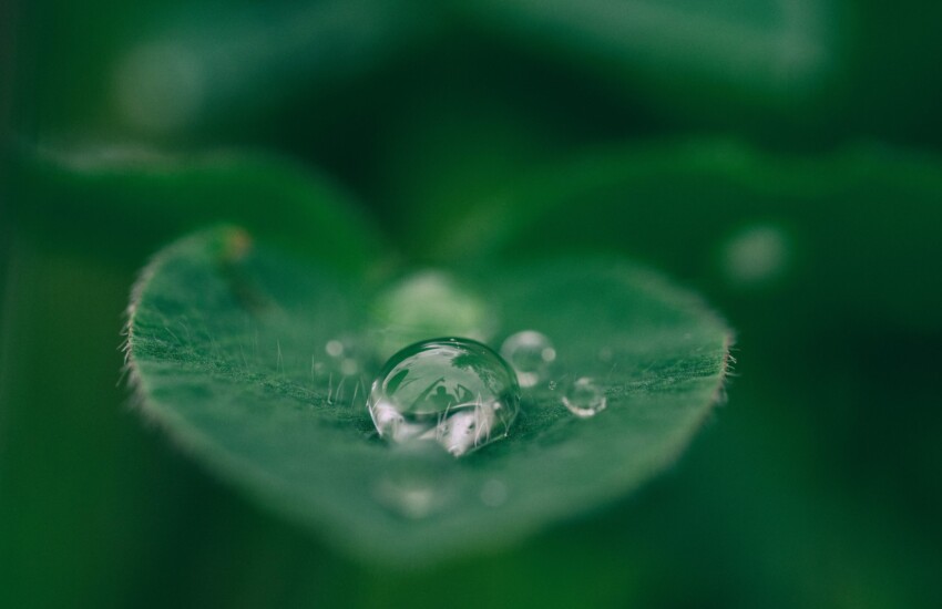 Adoption du projet de loi 20 : à deux règlements d’une gestion plus transparente de l’eau | Communiqué conjoint