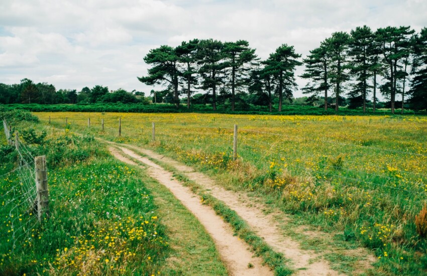 Risques majeurs pour la protection de l’environnement et les municipalités : le projet de loi 22 sur l’expropriation manque sa cible, s’inquiète le CQDE | Communiqué
