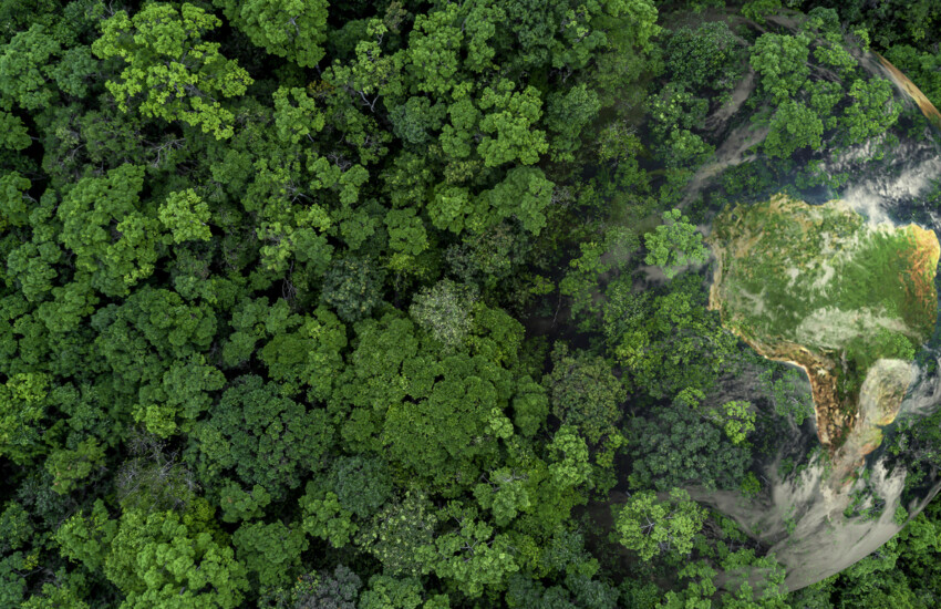 Les groupes de défense de l’environnement et de la santé se félicitent des nouvelles règles visant à lutter contre l’écoblanchiment
