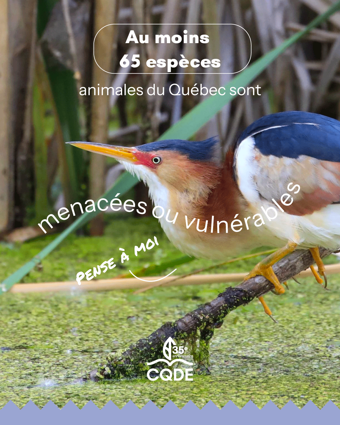Slide 7